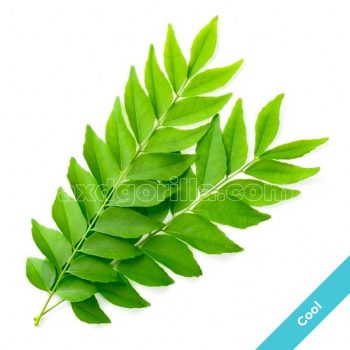 Curry Leaves 100g
