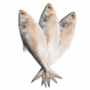 AXDG2127 AXD Gorilla CK Hilsa Fish [Frozen] 1.2kg