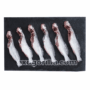 AXDG2128 AXD Gorilla Sea King Tangra Fish [Frozen] 500g