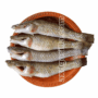AXDG2129 AXD Gorilla Sea King Baila Fish [Frozen] 500g