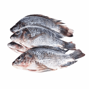 Tilapia [Frozen] 1kg