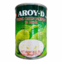AROY- D Young Green Jackfruit in Brine 565g